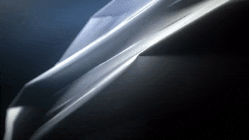 Art Bird GIF by Woodblock
