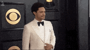 Grammy Awards GIF by Recording Academy / GRAMMYs