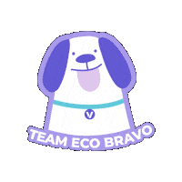 Go Bravo Sticker by Bravo México