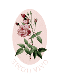 Rose Water Pink Sticker by Shop 437
