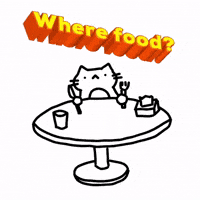Hungry Cat GIF