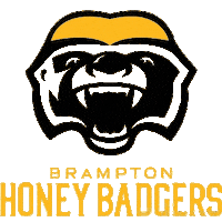 BramptonHoneyBadgers basketball nba ball bball Sticker