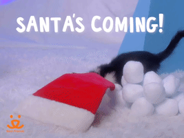 Santa's Coming