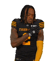 Tiger-Cats Cfl Sticker by Hamilton Sports Group