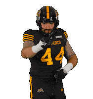 Tiger-Cats Cfl Sticker by Hamilton Sports Group