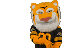 Tiger-Cats Mascot Sticker by Hamilton Sports Group