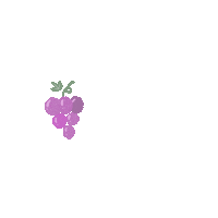 Grape Sticker by wootea