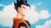 Dragonball Songohan GIF