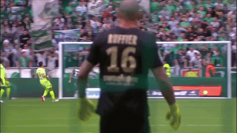 goal joie GIF by AS Saint-Etienne