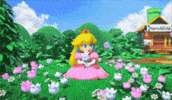 Super Mario Flowers GIF
