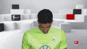 Vfl Wolfsburg Smile GIF by Bundesliga