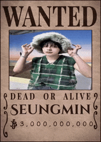 Skz Straykids GIF