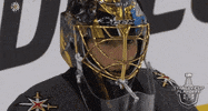 ice hockey smile GIF by NHL