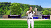 Warriors Softball GIF by WinonaStateATH