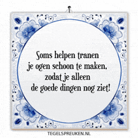 Humor Nl GIF by Tegelspreuken.nl