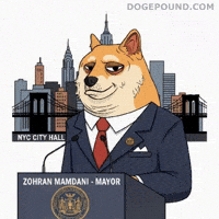 Speaking New York City GIF by Doge Pound