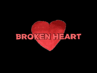 GIF by Kunstkwartier