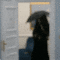 Dont Look At Me All Black GIF by Blake Lively Fan