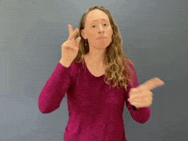 Asl Politics GIF