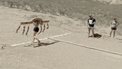 steve austin GIF by Steve Austin's Broken Skull Challenge