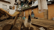 viceland GIF by Black Market