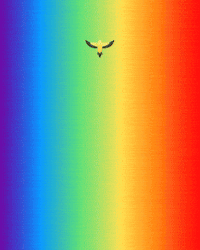 Rainbow Pride GIF by Lincoln Goldfinch Law