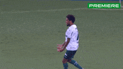 Serie A Adriano GIF by Canal Premiere