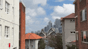 New South Wales Australia GIF