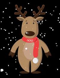 NORDICWAYS christmas travel snow now GIF