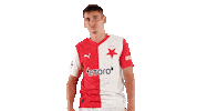Football Soccer Sticker by SK Slavia Praha