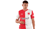 Happy Football Sticker by SK Slavia Praha