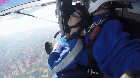AlbatrosFallschirmsport giphyupload sun hamburg skydive GIF