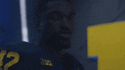 Go Blue Michigan Football GIF by Michigan Athletics
