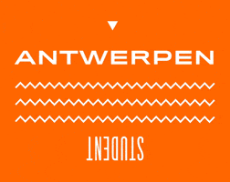 STAN_ANTWERP animation typography motion colors GIF