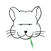 Chill Chinchilla Sticker