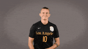 Soccer Ncaa GIF by Cal State LA Golden Eagles