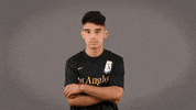 Soccer Ncaa GIF by Cal State LA Golden Eagles