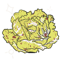 Greens Lettuce Sticker