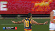 afl afl finals aussie rules australian football league GIF