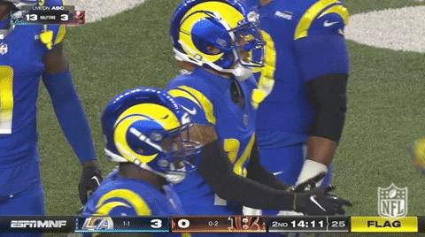National Football League GIF by NFL
