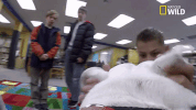 pupparazzi doggie winter wonderland GIF by Nat Geo Wild