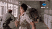 War Fight GIF by MolaTV