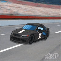 Nascar GIF by Skip
