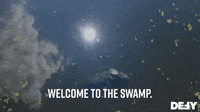 Welcome To The Swamp