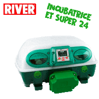 Chicks Made In Italy Sticker by River Systems