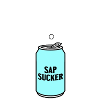 Bubbles Sticker by Sapsucker