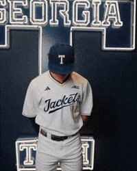 Georgia Tech Baseball GIF by Georgia Tech Yellow Jackets