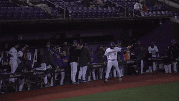 East Carolina Ecu Baseball GIF by ECU Athletics