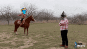 Nft Cowboy GIF by Rug Radio