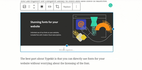 tomatoheart giphyupload GIF